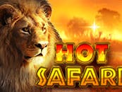 Hot Safari