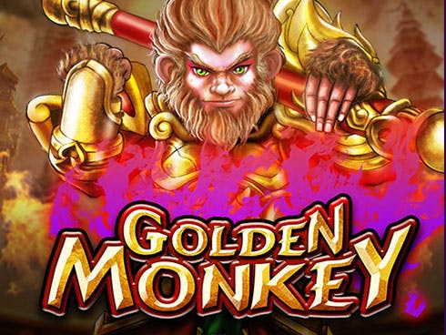 Golden Monkey